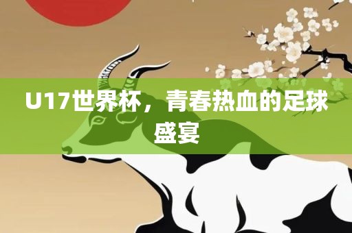 U17世界杯，青春热血的足球盛宴眉山市正发家政服务有限公司