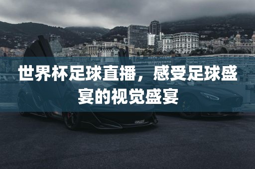 世界杯足球直播，感受足球盛宴的视觉盛宴