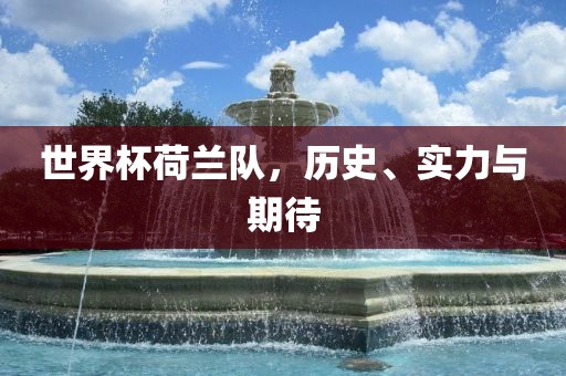 世界杯荷兰队，历史、实力与期待