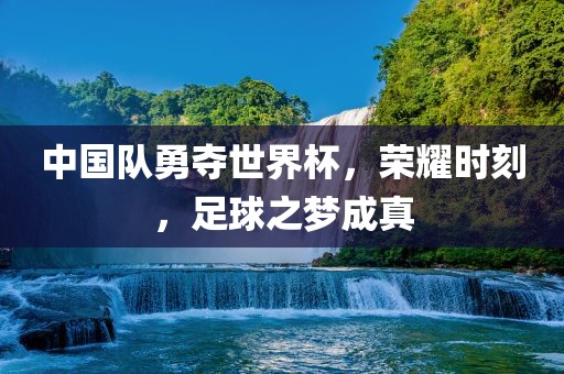 中国队勇夺世界杯，荣耀时刻，足眉山市正发家政服务有限公司球之梦成真