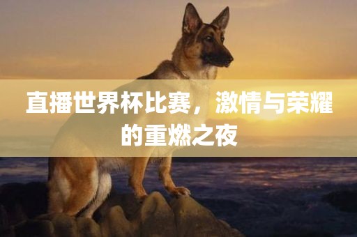 直播世界杯比赛，激情与荣耀的重燃之夜眉山市正发家政服务有限公司