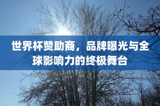 世界杯赞助商，品牌曝光与全球影响力的终极舞台