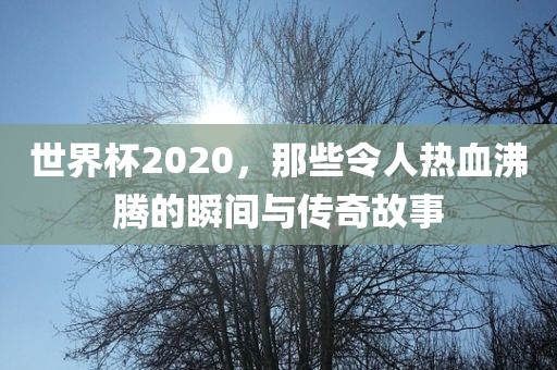世界杯2020，那些令人热血沸腾的瞬间与传奇故事