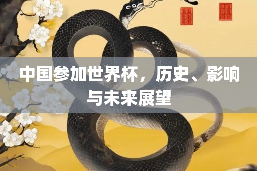 中国参加世界杯，历史、影响与未来展望