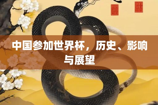 中国参加世界杯，历史、影响与展望