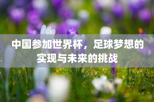 中国参加世界杯，足球梦想的实现与未来的挑战眉山市正发家政服务有限公司