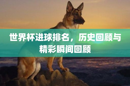 世界杯进球排名，历史回顾与精彩瞬间回顾