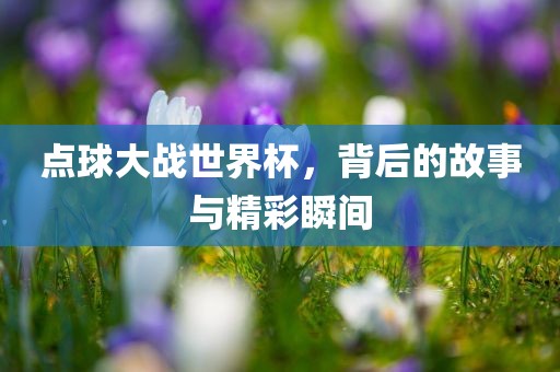 点球大战世界杯，背后的故事与精彩瞬间