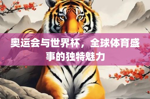 奥运会与世界杯，全球体育盛事的独特魅力