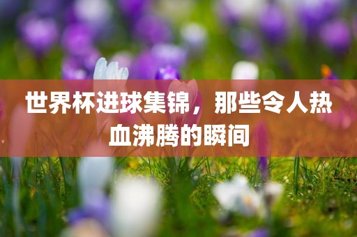 世界杯进球集锦，那些令人热血沸腾的瞬间