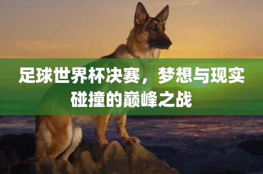 足球世界杯决赛，梦想与现实碰撞的巅峰之战