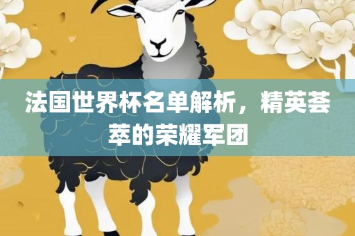 法国世界杯名单解析，精英荟萃的荣耀军团眉山市正发家政服务有限公司