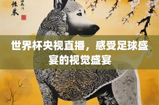 世界杯央视直播，感受足球盛宴的视觉盛宴