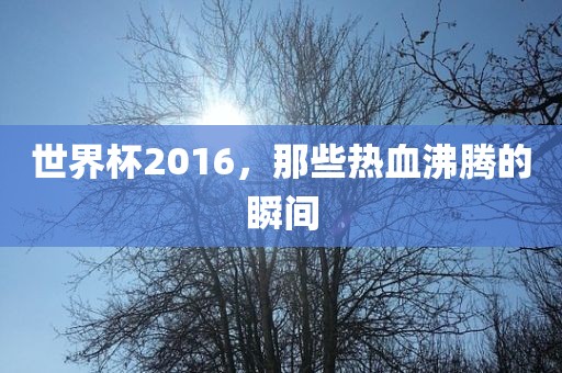 世界杯2016，那些热血沸腾的瞬间