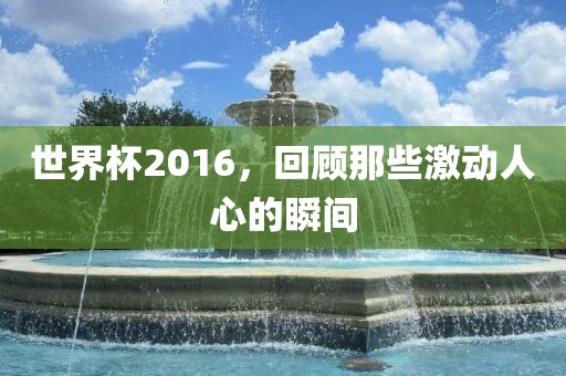 世界杯2016，回顾那些激动人心的瞬眉山市正发家政服务有限公司间