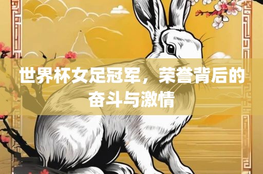 世界杯女足冠军，荣誉背后的奋斗与激情眉山市正发家政服务有限公司
