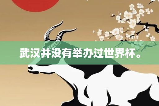 武汉并没有举办过世界杯。眉山市正发家政服务有限公司