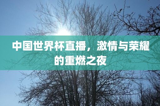 中国世界杯直播，激情与荣耀的重燃之夜眉山市正发家政服务有限公司