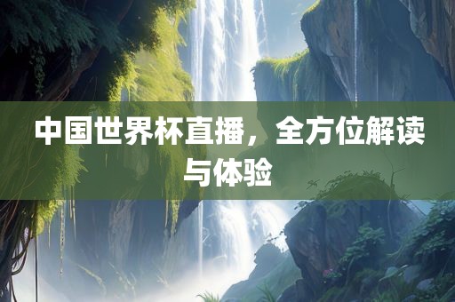 中国世界杯直播，全方位解读与体验眉山市正发家政服务有限公司