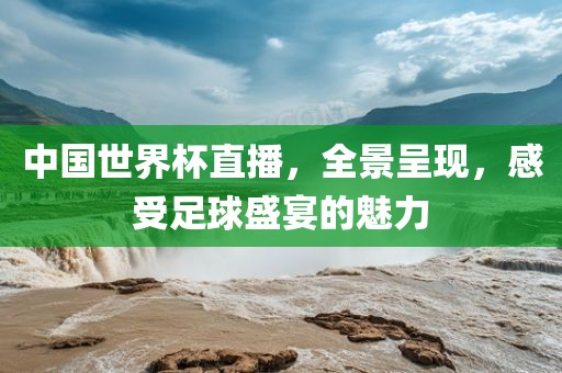 中国世界杯直播，全景呈现，感受足球盛宴的魅力眉山市正发家政服务有限公司