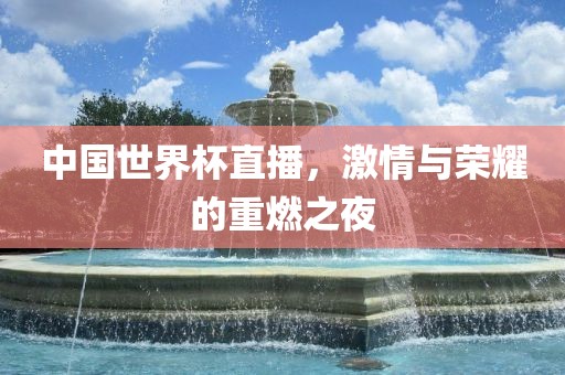 中国世界杯直播，激情与荣眉山市正发家政服务有限公司耀的重燃之夜