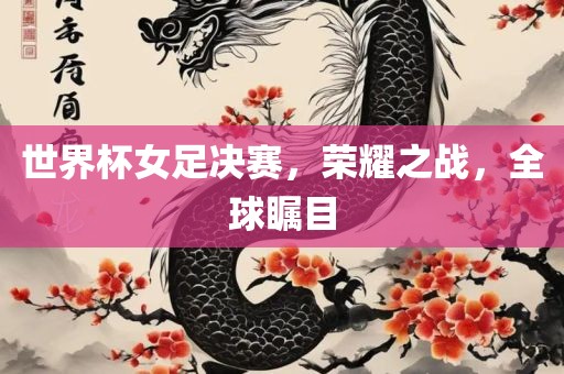 世界杯女足决赛，荣耀之战，全球瞩目
