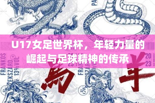 U17女足世界杯，年轻力量的崛起与足球精神的传承
