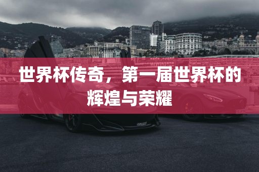 世界杯传奇眉山市正发家政服务有限公司，第一届世界杯的辉煌与荣耀