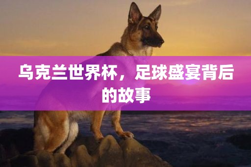 乌克兰世界杯，足球盛宴背后的故事