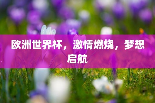 欧洲世界杯，激情燃烧，梦想启航眉山市正发家政服务有限公司