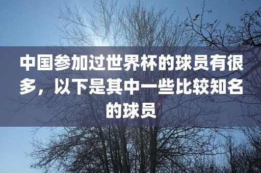 中国参加过世界杯的球员有很多，以下是其中一些比较知名的球员