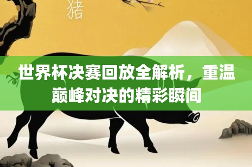 世界杯决赛回放全解析，重温巅峰对决的精彩瞬间眉山市正发家政服务有限公司