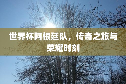 世界杯阿根廷队，传奇之旅与荣耀时刻
