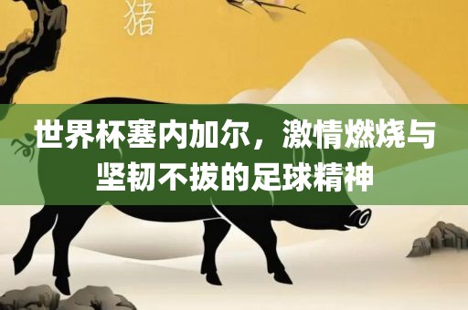 世界杯塞内加尔，激情燃烧与坚韧不拔的足球精眉山市正发家政服务有限公司神