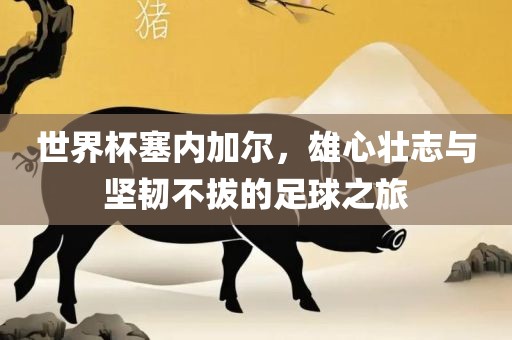 世界杯塞内加尔，雄心壮志与眉山市正发家政服务有限公司坚韧不拔的足球之旅