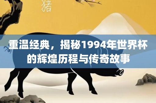 重温经典，揭秘1994年世界杯的辉煌历程与传奇故事眉山市正发家政服务有限公司