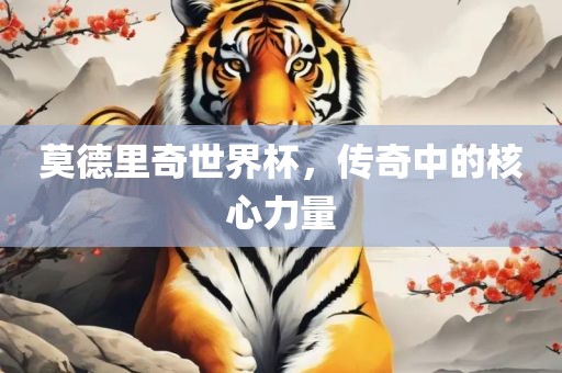 莫德里奇世界杯，传奇中的核心力量