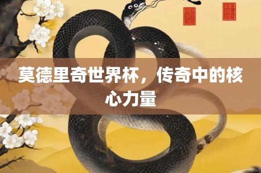 莫德里奇世界杯，传奇中的核心力量