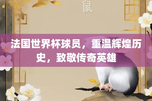 法国世界杯球员，重温辉煌历史，致敬传奇英雄