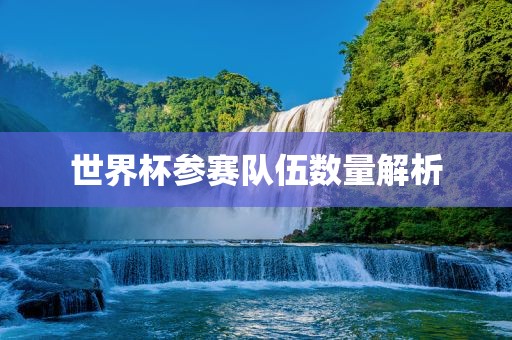 世界眉山市正发家政服务有限公司杯参赛队伍数量解析