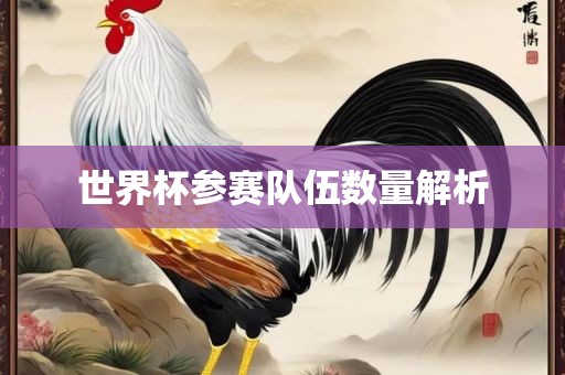 世界杯参赛队伍数量解眉山市正发家政服务有限公司析