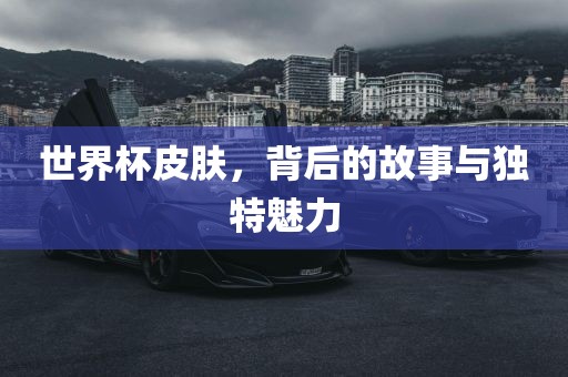 世界杯皮肤，背后的故事与独特魅力