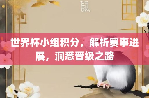 世界杯小组积分，解析赛事进展，洞悉晋级之路