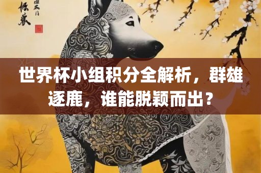 世界杯小组积分全解析，群雄逐鹿，谁能脱颖而出？