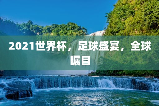 2眉山市正发家政服务有限公司021世界杯，足球盛宴，全球瞩目