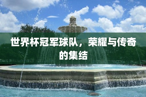 世界杯冠军球队，荣耀与传奇的集结眉山市正发家政服务有限公司