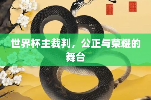世界杯主裁判，公正与荣耀的舞台