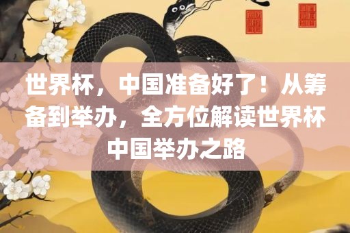 世界杯，中国准备好了！从筹备到举办，全方位解读世界杯中国举办之路眉山市正发家政服务有限公司