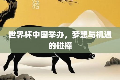 世界杯中国举办，梦想与机遇的碰撞