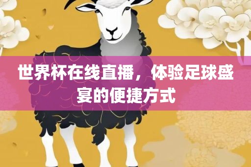 世界杯在线直播，体验足球盛宴的便捷方式
